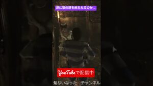 BOSSより雑魚の猿が最強なゲーム　#バイオハザード #shorts #ゲーム実況