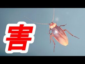 バイオハザードの超絶弱すぎるクリーチャーBEST10