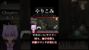 🔵【バイオハザード4】改造MOD ライジング 中央ホール サドラー攻略 【RISING OF EVIL】