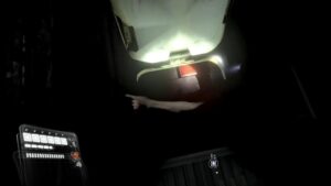 バイオハザード６　初見　withくれよん