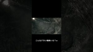 こんな蜘蛛いる？w　バイオハザード　#shorts