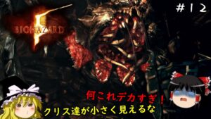 【バイオハザード５】超絶ビビり霊夢のBIOHAZARD5　12ビビり目【ゆっくり実況】