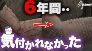 【ゾワゾワ】ムービーを一時停止しないと見れない怪現象・・【バイオハザード4】