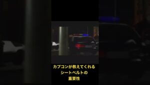 バイオハザード2 シートベルトの重要性