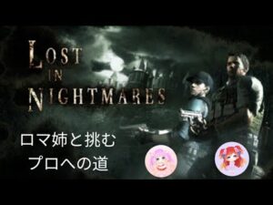 バイオハザード5 ロストインナイトメア ロマ姉とプロに挑む