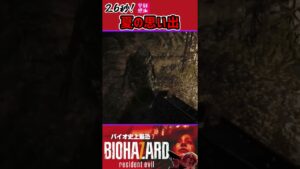 夏の思い出【バイオハザード 7】