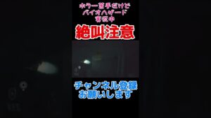 【バイオハザードRE:2】絶叫注意
