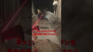 【バイオハザード Re:3】ネメシスを揶揄ってたら殺された…