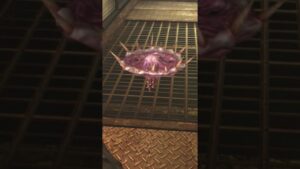 これ知ってた？！　バイオハザードリベレーションズ
