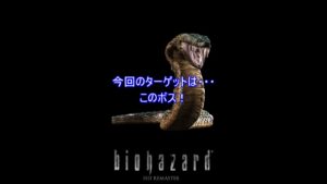 ハメごろシリーズ　バイオハザードHDリマスター　ヨーン