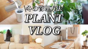 【植物Vlog】冬支度とバイオハザードと銀座のADAラボ