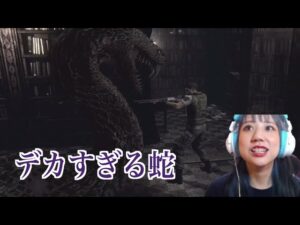 【バイオハザード】リチャードのカタキィィ！！【ゲーム配信】