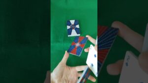 バイオハザードみたいなトランプで遊んでみた#shorts #cardistry #deck #asmr #flourish #マジシャン #マジック #フラリッシュ #playingcards