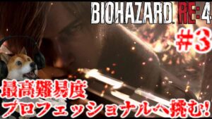 #3 バイオハザードRE4 最高難易度プロフェッショナルに初挑戦する配信【Resident Evil RE4 PROFESSIONAL】
