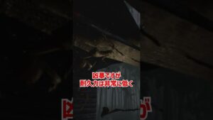 食人虫をざっくり解説【バイオハザード7】【ホラゲ】 #Shorts