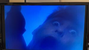 バイオハザード1続き