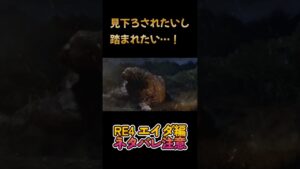 なんか痛い気がする【バイオハザードRE4 セパレートウェイズ】Resident Evil RE4 Separate Ways ネタバレ注意 #エイダ #バイオハザードre4  #resident