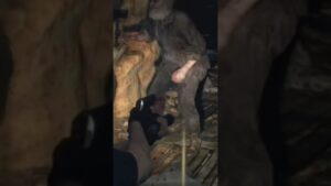 バイオハザードre4.おじいちゃんどこ行くのwww