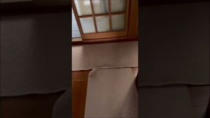 バイオハザードって怖いけどやっちゃうよね。#ラブラドールレトリバー #dog #犬 #バイオハザード