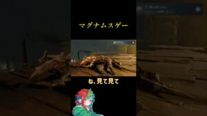 マグナムスゲー【BIOHAZARD RE:4】