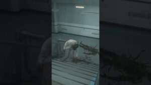 無敵のハゲ…【バイオハザードre2】#バイオハザードre2 #shorts #short