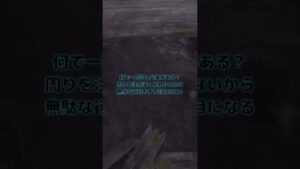 バイオハザードヴィレッジ〜ハイゼンベルク悪夢のショー編と周囲に気をつける事を知らない素人が魅せるプレイ〜