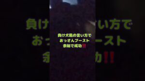 バイオハザード6【世界1位vs負け犬】比較TAプレイ対決2