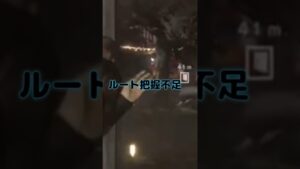 バイオハザード6【世界1位vs負け犬】比較TAプレイ対決5