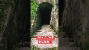 バイオハザード的な場所❗️