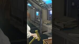 バイオハザード6の飛行機？✈リベレーションズ2レイドモード
