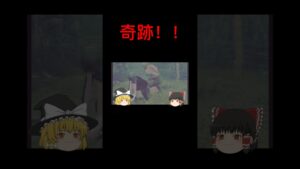 なるべくグロくしないバイオハザードPart5奇跡が起きる！