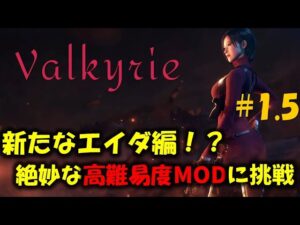 【バイオ RE4】絶妙な高難易度エイダ編に挑戦! PART1.5【Resident Evil RE4 Valkyrie MOD最高難易度】