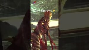 TA中にこれは萎えます😢　#バイオハザード #バイオハザードリベレーションズ#ゲーム #shorts #short